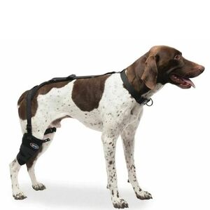 Caldera Hot & Cold Short Stifle Washable Pet Therapy Gel Wrap  PET207 Medium